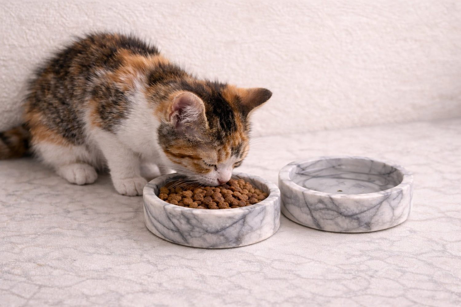 Marble Pet Bowls