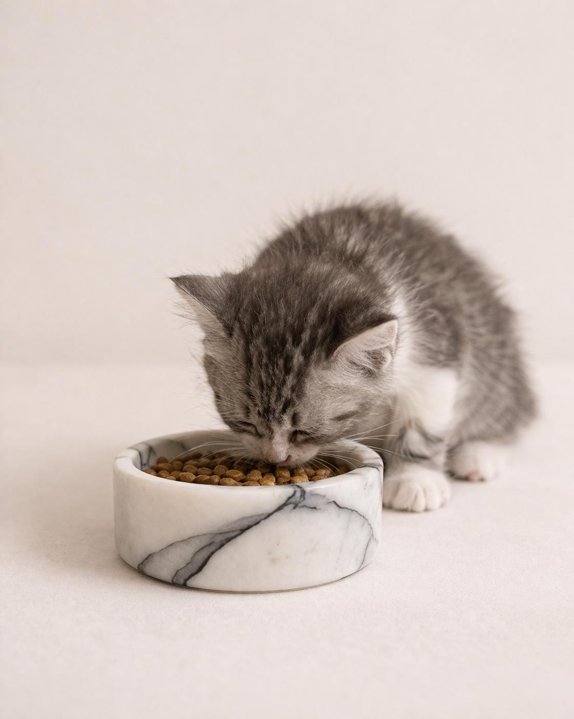 White Marble Cat Bowl | Modern Minimalist Pet Feeding Dish